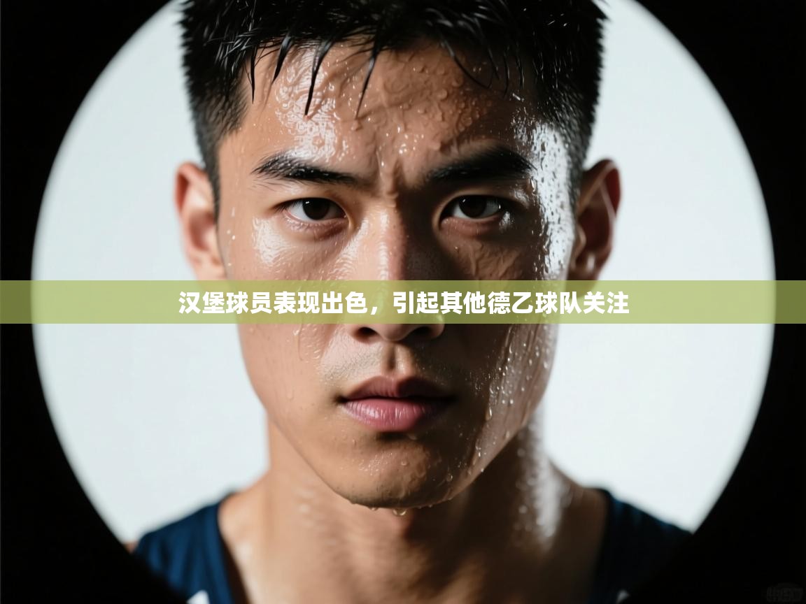 汉堡球员表现出色，引起其他德乙球队关注  第2张