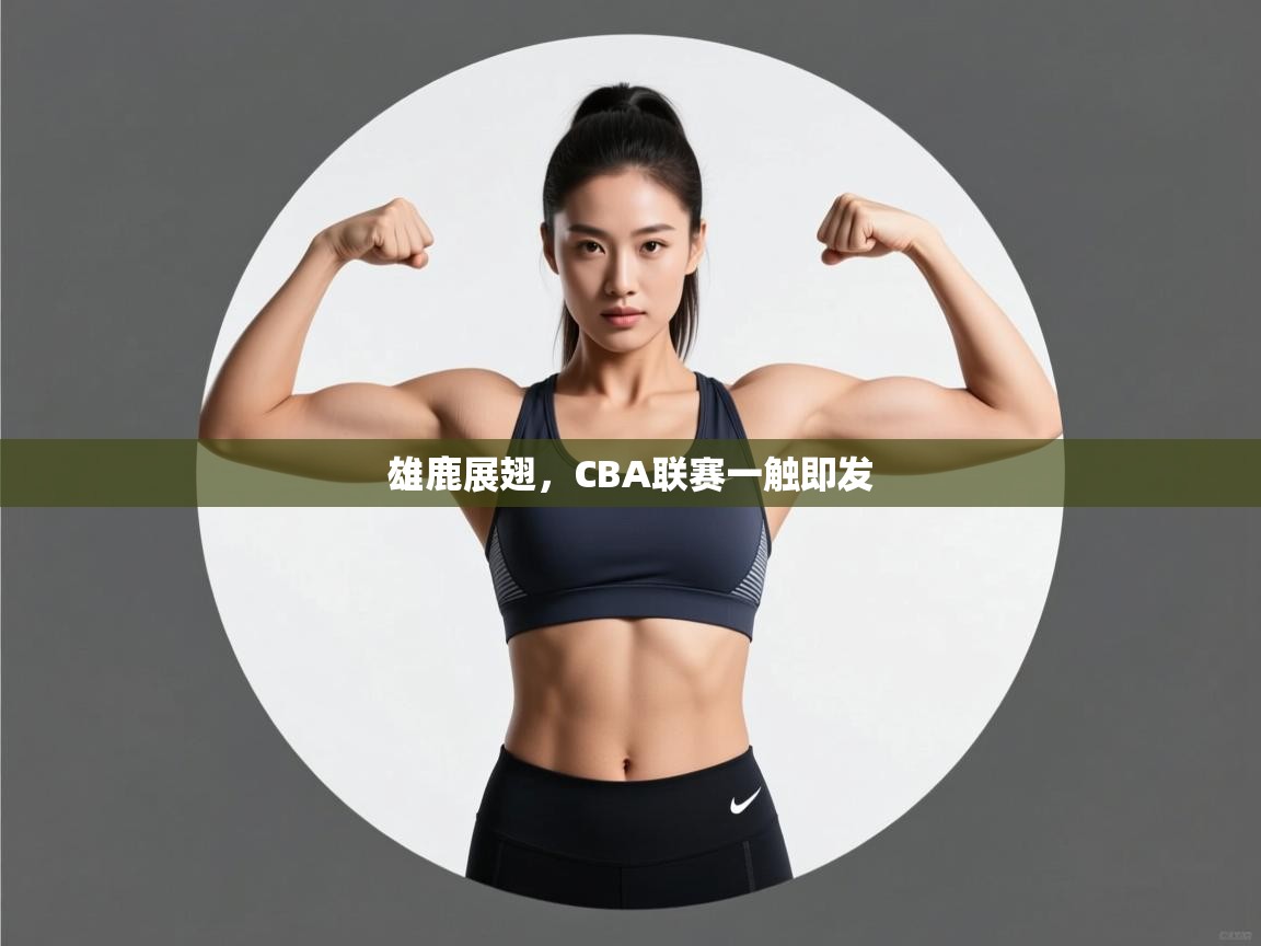 雄鹿展翅，CBA联赛一触即发  第2张